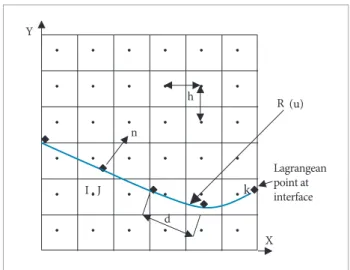 Figure 7. Eulerian and Lagrangean meshes.