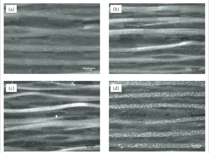Figure 4. Optical microscopy results for poly (ether-imide) (PEI)/glass i ber composites after being submitted to ultraviolet  radiation