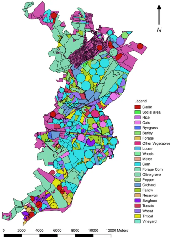 Figure 3 shows the usual grown crops, as well as other relevant information, in the southeastern part  of the basin