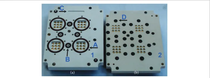 Figure 3. (a) Bottom half;  (b) Upper half of inner Irradiator Module. (A) One Irradiated slot with the silicon rubber o’ring; (B) One  background slot with the silicon rubber o’ring; (C) Thermoluminescent dosimeter fence; (D) nitrilic rubber o’rings