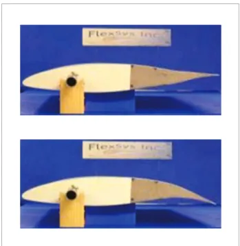 Figure 2. Trailing edge control (Flexus Inc.).