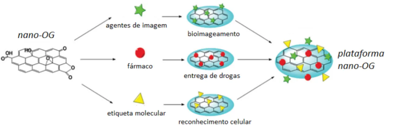 Figura 5. Representação esquemática da funcionalização do nano-OG para obtenção de  plataformas multifuncionais