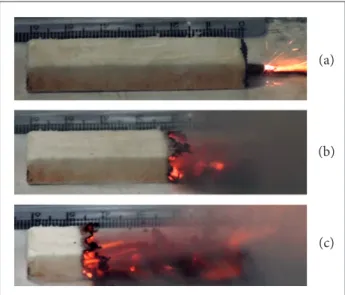 Figure 1 shows the burn process of a typical sample. 