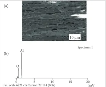 Figure 11. Removal of condensed material coating from the  nozzle entrance after the i ring test