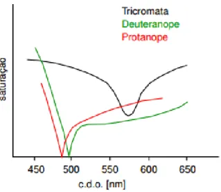 Figura 2.3: Gráfico representativo da função de saturação da deuteranopia e protanopia em comparação  com o tricromata normal