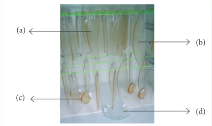 Figure 1. storage of HTPB binders inside type IIB forced venti- venti-lation oven during accelerated ageing