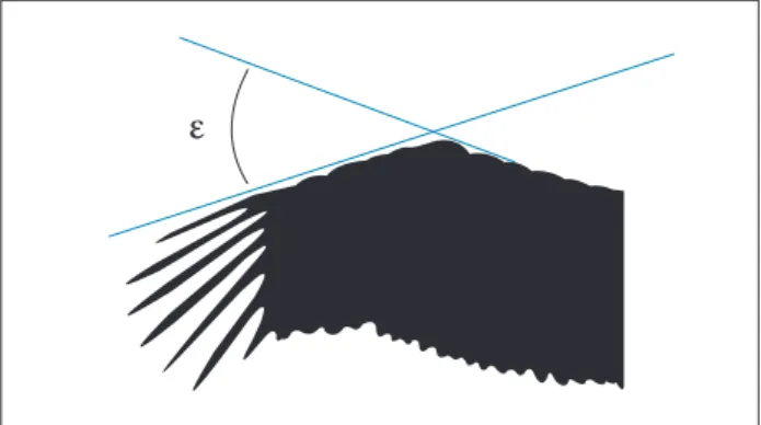 Figure 6. The wrist angle ( ε ) between the frontal edge of the  cascade and the propatagium sinew (Eder  et al