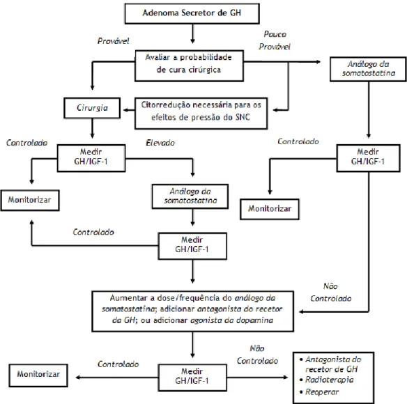 Figura 1 – Abordagem terapêutica da acromegalia (2, 3, 14, 15, 33)