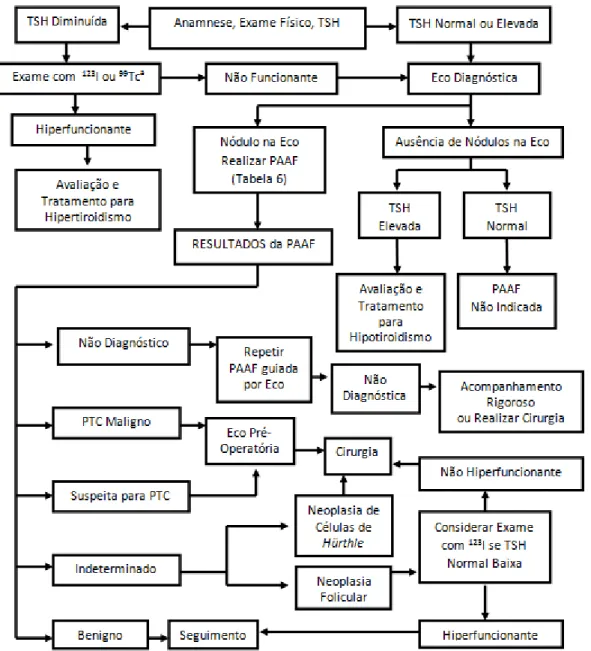 Figura  2  –  Avaliação  de  pacientes  com  um ou mais  nódulos  na  tiróide. (38) a Se a  análise  não mostrar  uma  distribuição  uniforme  da  atividade  do  marcador,  pode  ser  considerada  a  realização  de  uma  ecografia  para  avaliar  a  presen