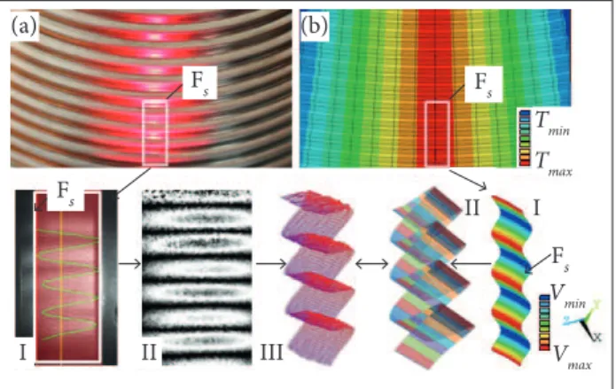 Figure 6. The use of the method of electronic shearography  (a) for veriication of the FEM (b) of temperature deformations  of the random TVS shell fragment F S .