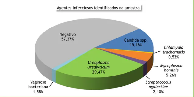 Figura 4 - Agentes infecciosos identificados na amostra