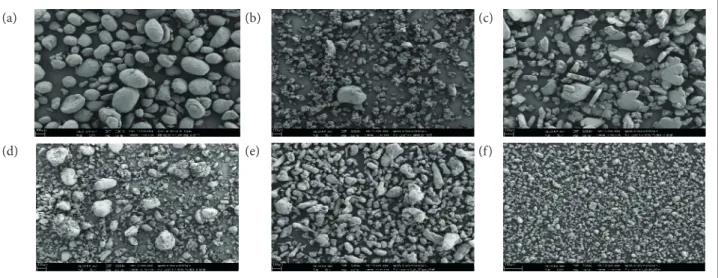 Figure 7. SEM images (magniication of 50X) of the particles loaded in the CSP  in this study