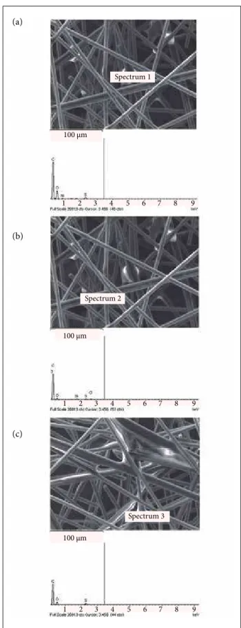 Figure 5. SEM/EDS analyses of the CF/Ni veil after acid  attack. (a) Spectrum 1, (b) Spectrum 2, and (c) Spectrum 3.