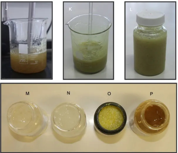 Figura  6  -  Preparação  das  diferentes  medicações  intracanal:  (A)  material  utilizado,  (B)  cloridrato  de  doxiciclina  (Fc  1,11g),  (C)  propilenoglicol,  (D)  dissolução  do  cloridrato  de  doxiciclina, 0,1% de metabissulfito de sódio, propile