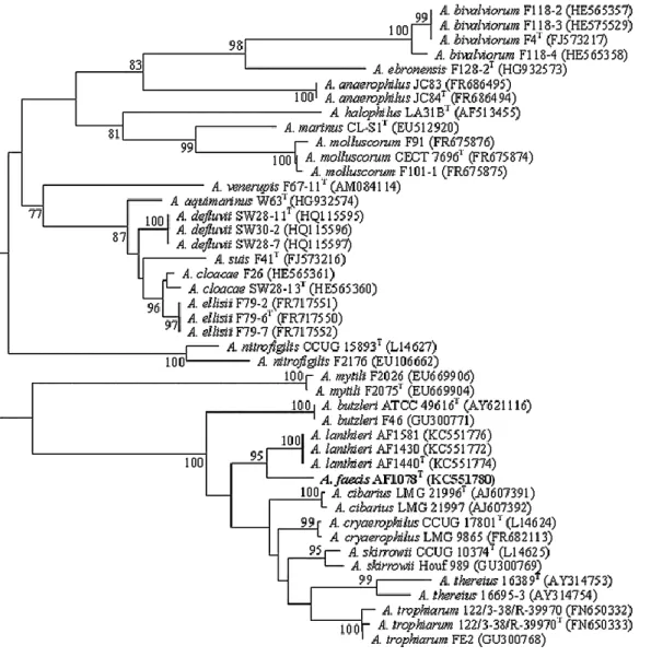 Figura 2: Árvore filogenética das diferentes espécies do género Arcobacter, tendo por base a similaridade  da sequência do gene rRNA 16S (Whiteduck-Léveillée et al