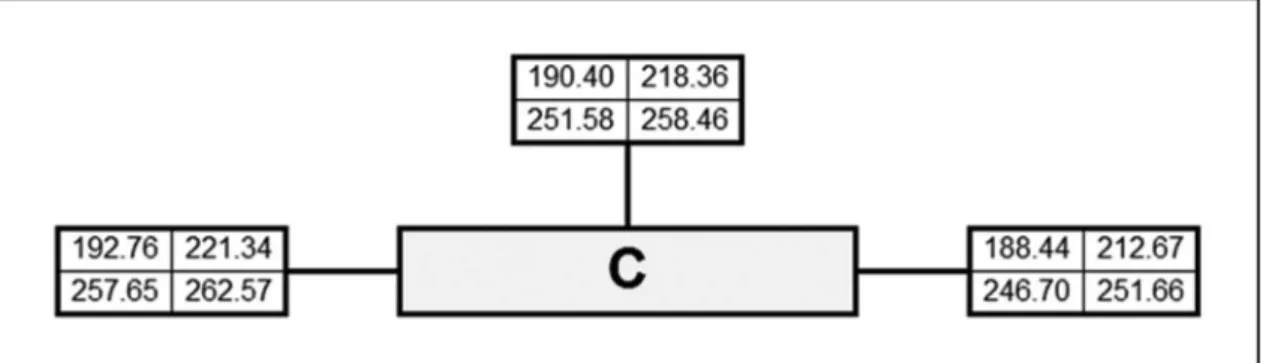 Figure 2.  School S5 classiied (with peformance level “C”) directly to the label.