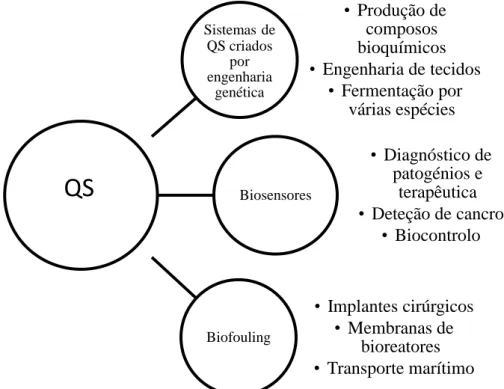 Ilustração  4  -  Algumas  aplicações  do  processo  de  QS  (adaptado  de  Choudhary,  S