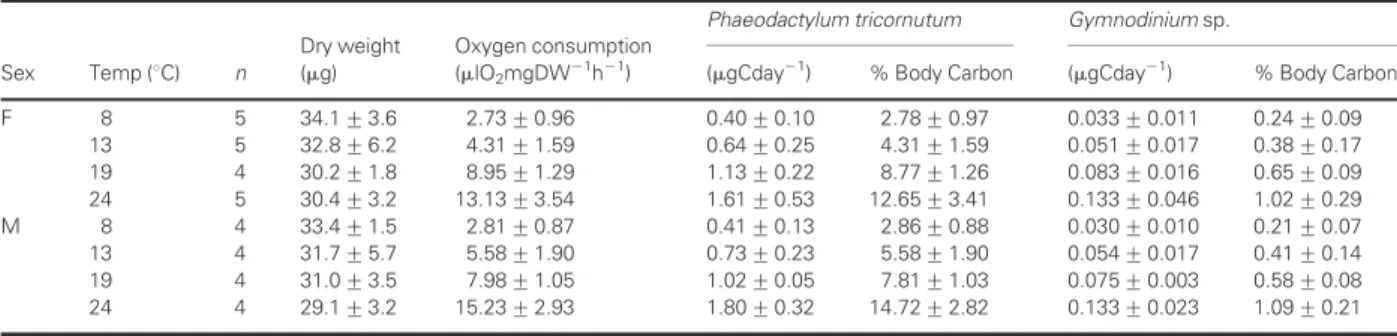 Fig. 4. Box plots of the daily ration of Centropages chierchiae (expressed as percentage of body carbon) at the four different temperatures analysed using (a) Phaeodactylum tricornutum and (b) Gymnodinium sp.; white box plots are for feeding rate experimen