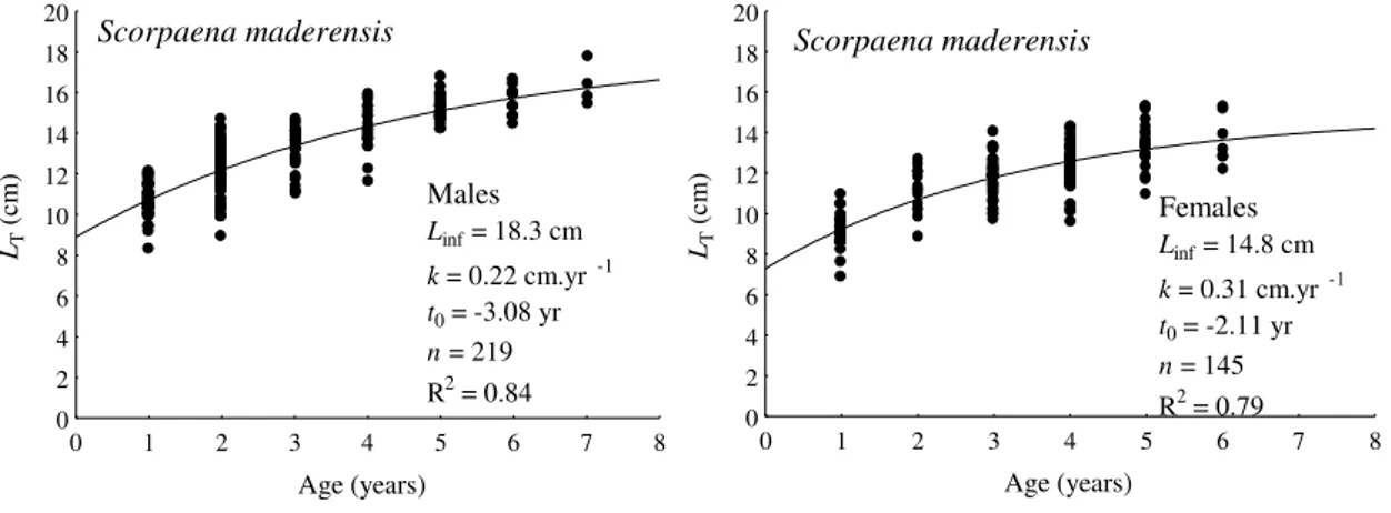 Fig.  2.  Fitted Von  Bertalanffy  growth  curves for  males  and  females  of Scorpaena  maderensis  for the period 1997-1999