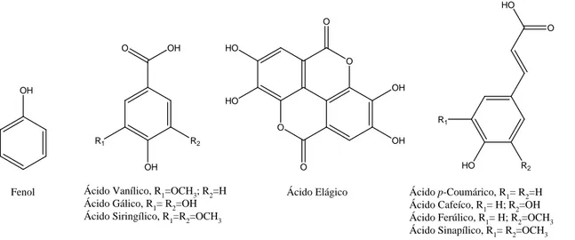 Figura 14 – Exemplos de compostos fenólicos e ácidos fenólicos presentes na madeira (Sjöström, 1981)