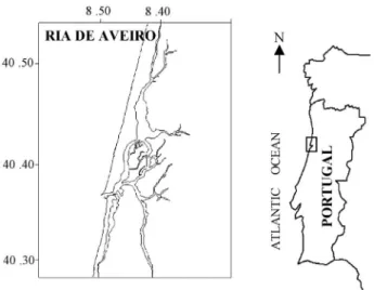 Fig. 1. – Ria de Aveiro location. 