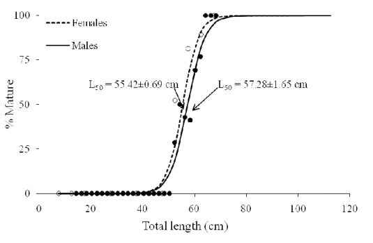 Figure 11: Maturity ogives  for males (solid line) and for females (dotted line). Dark points represent the  proportion  of  mature  males  by  TL  (5cm  class  interval)  and  white  points  represent  the  proportion  of  matures females by TL (5cm class