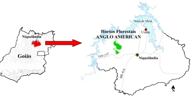 Figura 1.1. Localização da área de estudo no estado de Goiás e no município de  Niquelândia-GO