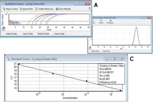 Figura  9  – Curva de amplificação (A), curva de desnaturação (B) e recta padrão (C)  para o gene de referência rRNA 18s usando SYBR green