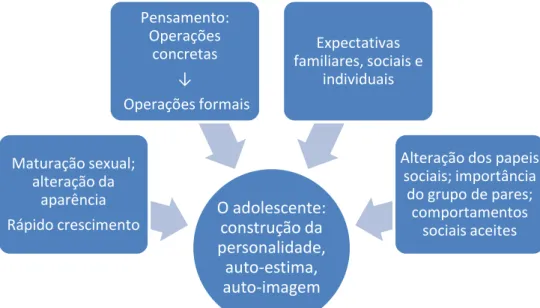 Figura nº 1 – Processo de evolução do adolescente 