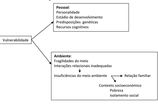 Figura nº 5 - Os eixos da vulnerabilidade 