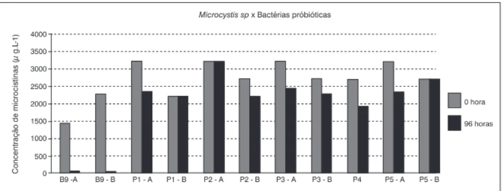 Figura 3 – Degradação de microcistinas pela bactéria B9, quatro cepas de bactérias probióticas e kefir  utilizando extrato de Microcystis sp contendo microcistinas.