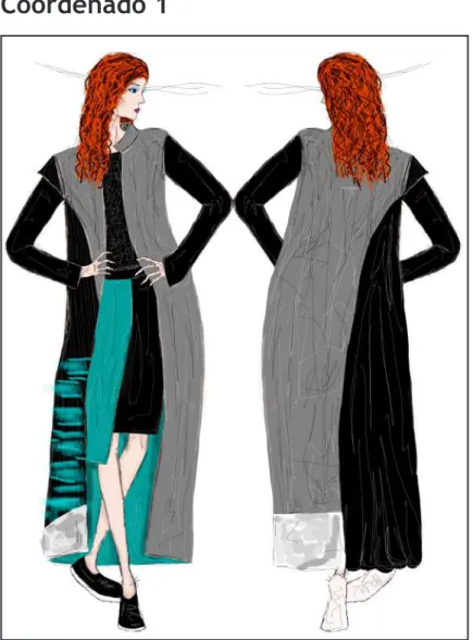 Figura 12. Ilustração coordenado 1
