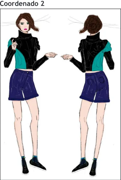 Figura 14. Ilustração coordenado 2