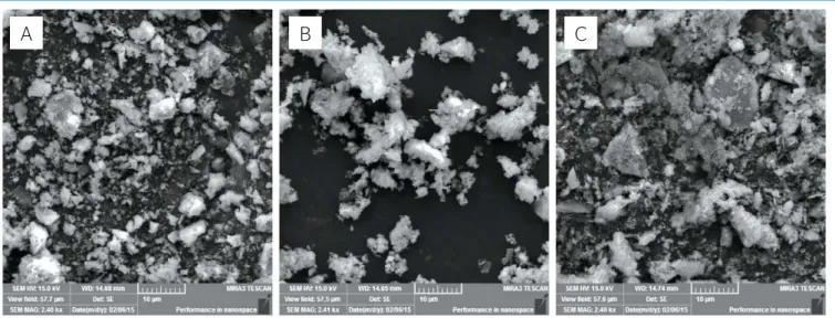 Figura 5 – Micrografias obtidas por Microscopia Eletrônica de Varredura por Efeito de Campo das cinzas RM13 (A), RJ13 (B) e RA13 (C), com magnificação  de 2.400 vezes, com escala na imagem de 10 μm.