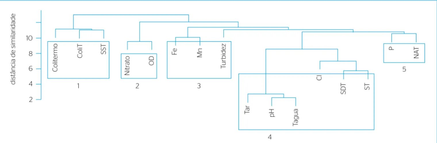 Figura 1 – Agrupamento hierárquico das variáveis.