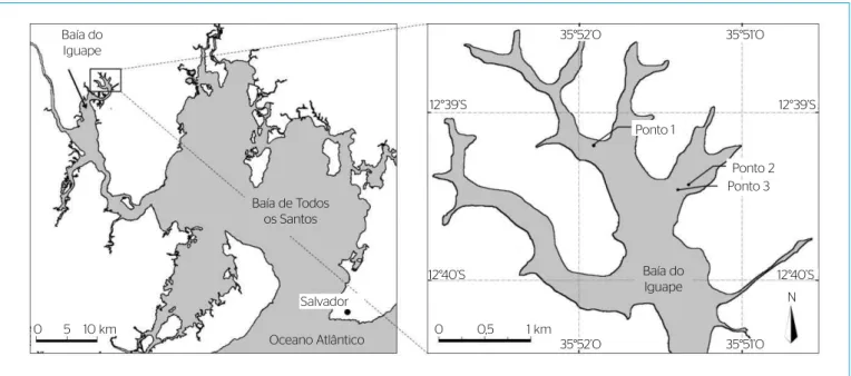 Figura 1 – Viveiros de ostras nativas localizados no setor norte da Reserva Extrativista Marinha Baía do Iguape, Bahia.