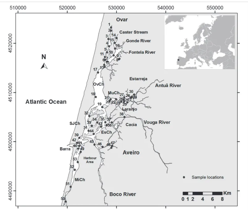 Fig 1. Study area. The studied sites are labelled with numbers. Legend: OvCh — Ovar Channel, SJCH — S ã o Jacinto Channel, MuCh — Murtosa Channel, EsCh — Espinheiro Channel, MiCh — Mira Channel.