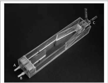 FIGURE 1 | Choice-chamber used to test the response of Sparus aurata larvae to odor cues along ontogeny