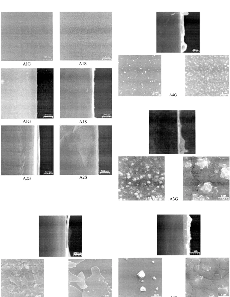 Figure 3: SEM micrographs of the cross section of  TiO 2   thin films deposited on different substrates, under the same conditions: a) glass and b) Si(100).