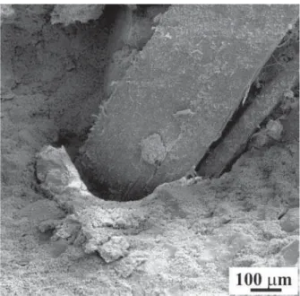 Figure 6: SEM micrograph of the AM1F mortar after 14-day aging period showing the anchorage effect of the polypropylene fibers.
