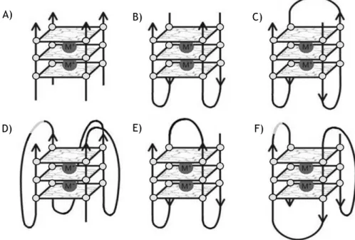 Figure 3 - G4 stoichiometries and folding patterns. A) Tetramolecular parallel structure; B) Bimolecular  antiparallel structure; C) Unimolecular antiparallel structure with alternating parallel strands; 