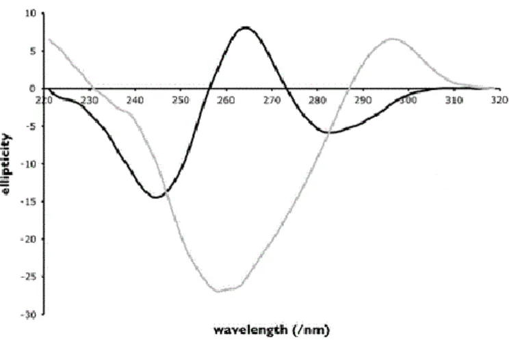 Figure 6 – Circular dichroism spectra with parallel (black line) and anti-parallel (grey line) G4 structure  (Adapted from [20])