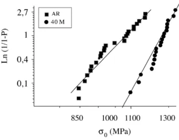 Figure 1: Microstructure of 40M after exposure at 1650 °C for 40 min.