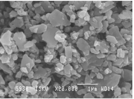 Figure 1: SEM image of the alumina sample used in the experiments.