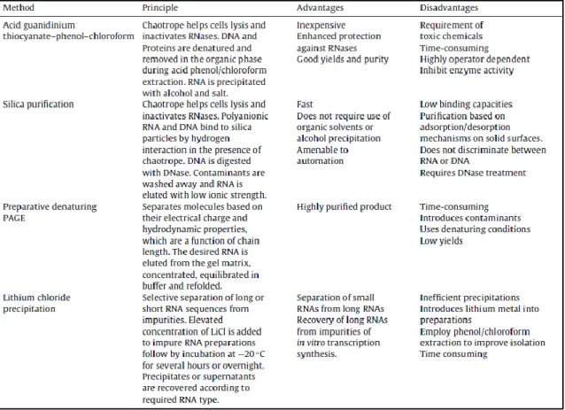 Table 1 - Summarized information regarding the most used extraction techniques for RNA (the RNASwift  technique not included)