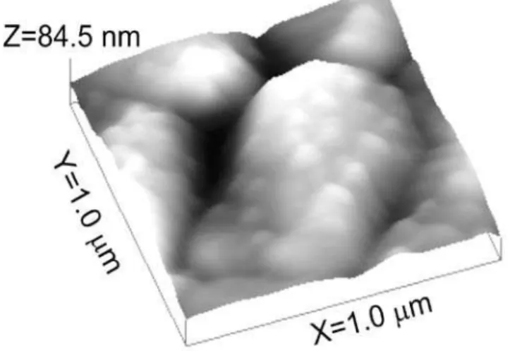 Fig.  2  shows  the  topographic  AFM  image  of  yttrium- yttrium-barium  titanate  (YBT),  revealing  a  microstructure  with  clearly deined grains and grain boundaries.