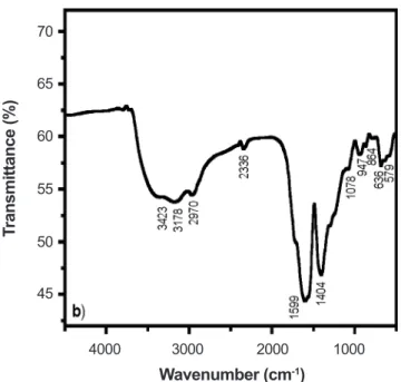 Figure  1:  Infrared  analysis  of  the  polymeric  resin  calcined  at  250 °C/2 h.