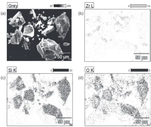 Figure 4: Scanning electron microscopy micrograph and microanalysis of C1 composition