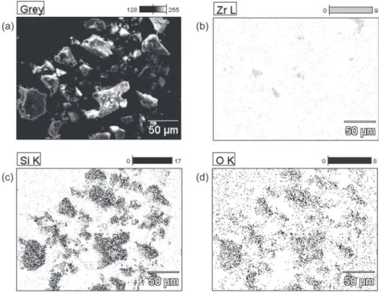 Figure  6:  Scanning  electron  microscopy  micrographs  and  microanalysis  of  C3  composition