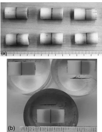 Table  III  shows  the  summarized  results  of  leak  test  for  investigated  ceramic/ceramic  joints